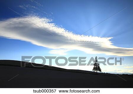 Hokkaido, Japan View Large Photo Image Stock Photo - Hokkaido, Japan. Fotosearch