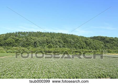 Hokkaido, Japan View Large Photo Image Stock Photo - Hokkaido, Japan. Fotosearch
