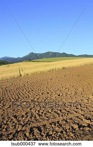 Hokkaido, Japan View Large Photo Image Stock Photo - Hokkaido, Japan. Fotosearch