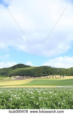 Hokkaido, Japan View Large Photo Image Stock Photo - Hokkaido, Japan. Fotosearch