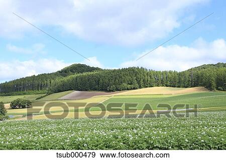 Hokkaido, Japan View Large Photo Image Stock Photo - Hokkaido, Japan. Fotosearch