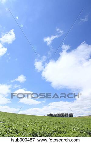 Hokkaido, Japan View Large Photo Image Stock Photo - Hokkaido, Japan. Fotosearch