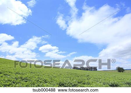 Hokkaido, Japan View Large Photo Image Stock Photo - Hokkaido, Japan. Fotosearch