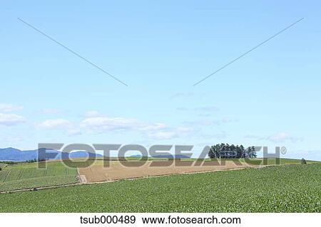 Stock Photo - Hokkaido, Japan. Fotosearch