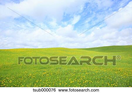 Hokkaido, Japan View Large Photo Image Stock Photograph - Hokkaido, Japan. Fotosearch