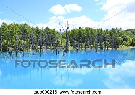 Hokkaido, Japan View Large Photo Image Stock Photograph - Hokkaido, Japan. Fotosearch