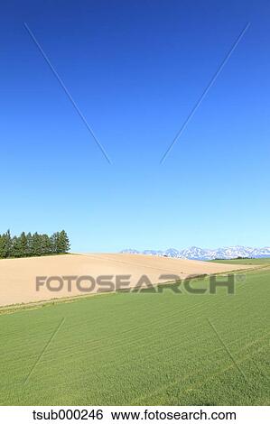 Hokkaido, Japan View Large Photo Image Stock Photograph - Hokkaido, Japan. Fotosearch