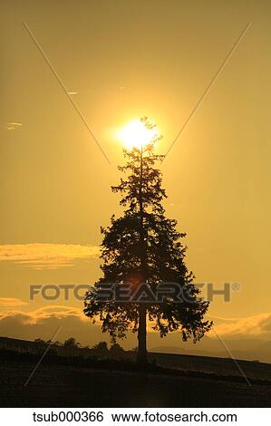 Stock Photograph - Hokkaido, Japan. Fotosearch