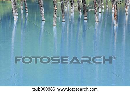 Hokkaido, Japan View Large Photo Image Stock Photograph - Hokkaido, Japan. Fotosearch