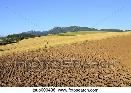Stock Photograph - Hokkaido, Japan. Fotosearch