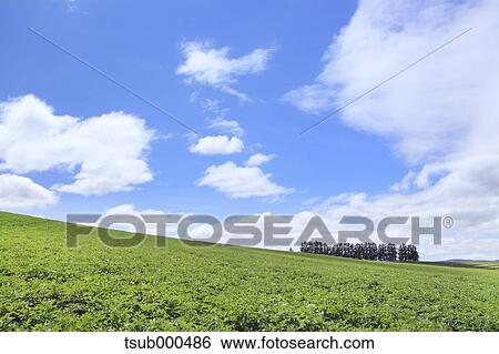 Stock Photograph - Hokkaido, Japan. Fotosearch