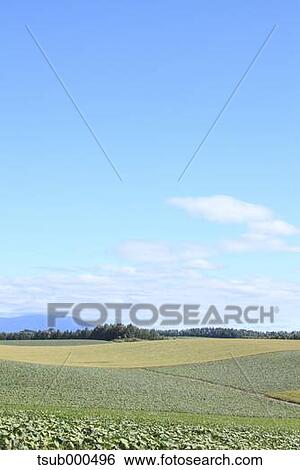 Hokkaido, Japan View Large Photo Image Stock Photograph - Hokkaido, Japan. Fotosearch