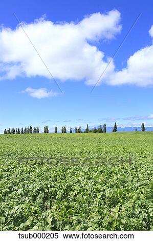 Stock Photography - Hokkaido, Japan. Fotosearch