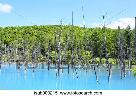 Hokkaido, Japan View Large Photo Image Stock Photography - Hokkaido, Japan. Fotosearch