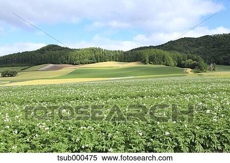 Hokkaido, Japan View Large Photo Image Stock Photography - Hokkaido, Japan. Fotosearch