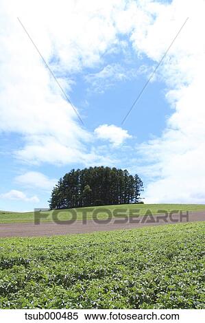 Hokkaido, Japan View Large Photo Image Stock Photography - Hokkaido, Japan. Fotosearch