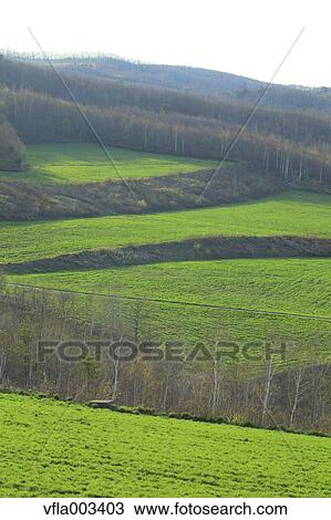 Iwate Prefecture, Japan View Large Photo Image Stock Image - Iwate Prefecture, Japan. Fotosearch