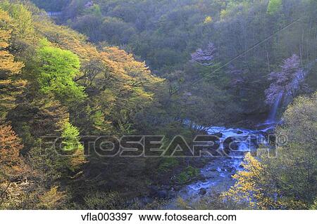 Stock Photo - Iwate Prefecture, Japan. Fotosearch