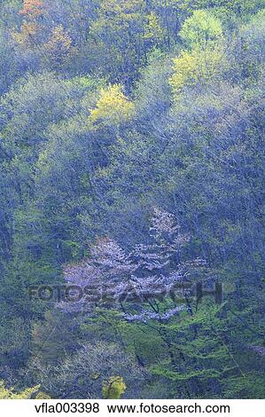 Iwate Prefecture, Japan View Large Photo Image Stock Photo - Iwate Prefecture, Japan. Fotosearch