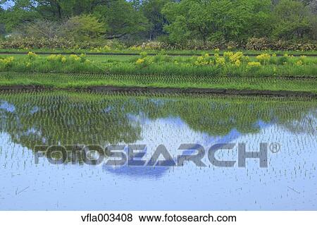Iwate Prefecture, Japan View Large Photo Image Stock Photo - Iwate Prefecture, Japan. Fotosearch