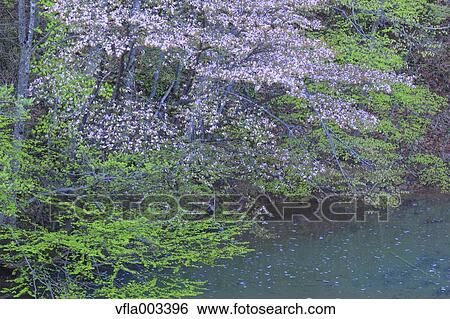 Iwate Prefecture, Japan View Large Photo Image Stock Photograph - Iwate Prefecture, Japan. Fotosearch