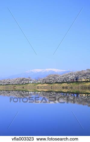 Miyagi Prefecture, Japan View Large Photo Image Stock Image - Miyagi Prefecture, Japan. Fotosearch