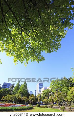 Miyagi Prefecture, Japan View Large Photo Image Stock Image - Miyagi Prefecture, Japan. Fotosearch