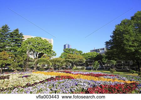 Miyagi Prefecture, Japan View Large Photo Image Stock Image - Miyagi Prefecture, Japan. Fotosearch