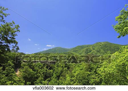 Miyagi Prefecture, Japan View Large Photo Image Stock Image - Miyagi Prefecture, Japan. Fotosearch