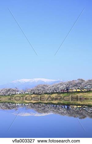 Miyagi Prefecture, Japan View Large Photo Image Stock Photo - Miyagi Prefecture, Japan. Fotosearch