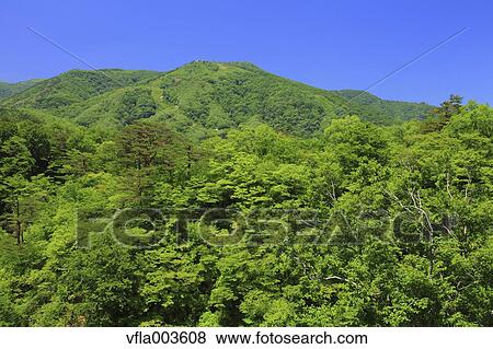 Miyagi Prefecture, Japan View Large Photo Image Stock Photo - Miyagi Prefecture, Japan. Fotosearch