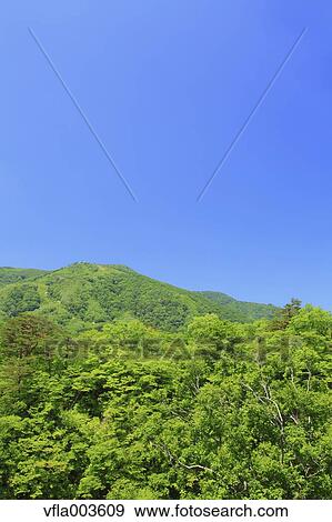 Miyagi Prefecture, Japan View Large Photo Image Stock Photo - Miyagi Prefecture, Japan. Fotosearch
