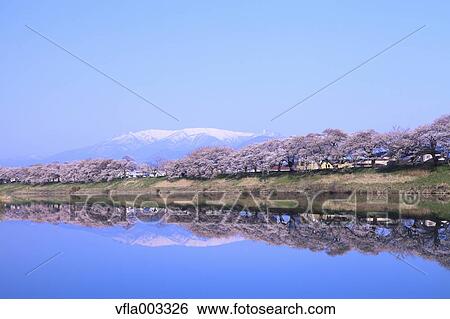 Miyagi Prefecture, Japan View Large Photo Image Stock Photograph - Miyagi Prefecture, Japan. Fotosearch