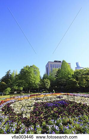 Miyagi Prefecture, Japan View Large Photo Image Stock Photograph - Miyagi Prefecture, Japan. Fotosearch
