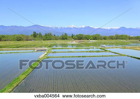 Picture - Nagano Prefecture, Japan. Fotosearch