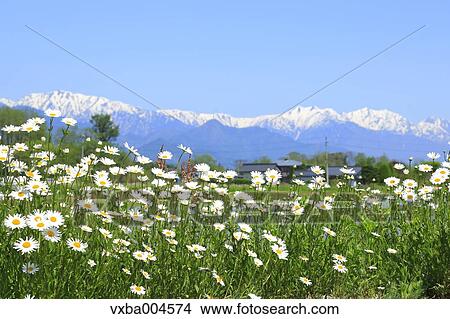 Picture - Nagano Prefecture, Japan. Fotosearch