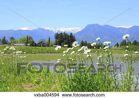 Nagano Prefecture, Japan View Large Photo Image Picture - Nagano Prefecture, Japan. Fotosearch