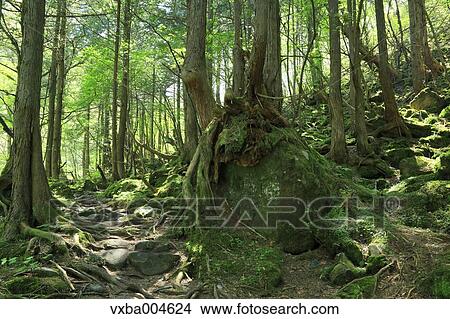 Nagano Prefecture, Japan View Large Photo Image Picture - Nagano Prefecture, Japan. Fotosearch