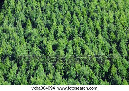 Nagano Prefecture, Japan View Large Photo Image Picture - Nagano Prefecture, Japan. Fotosearch