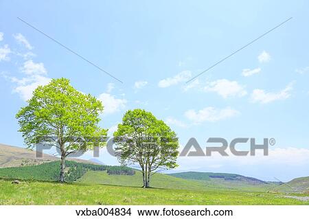 Picture - Nagano Prefecture, Japan. Fotosearch