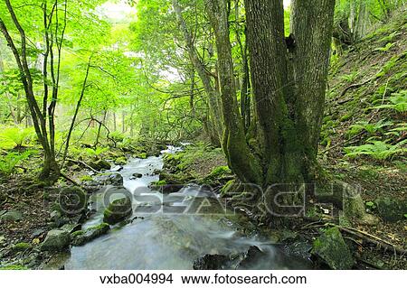 Nagano Prefecture, Japan View Large Photo Image Picture - Nagano Prefecture, Japan. Fotosearch