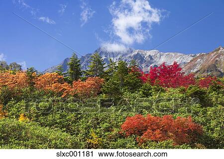 Stock Image - Nagano Prefecture, Japan. Fotosearch