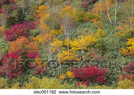 Stock Image - Nagano Prefecture, Japan. Fotosearch