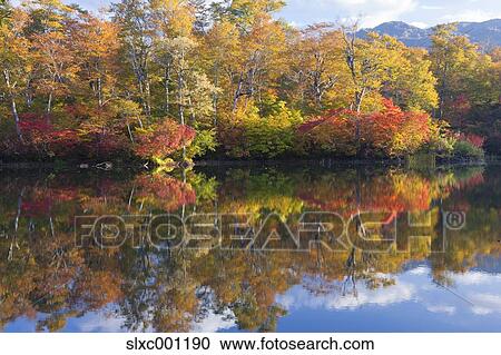 Nagano Prefecture, Japan View Large Photo Image Stock Image - Nagano Prefecture, Japan. Fotosearch