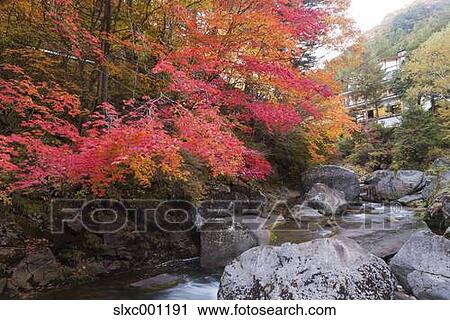 Nagano Prefecture, Japan View Large Photo Image Stock Image - Nagano Prefecture, Japan. Fotosearch