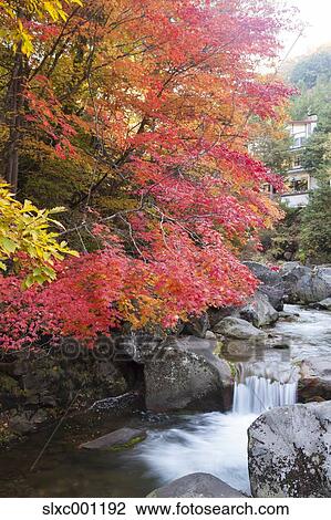 Nagano Prefecture, Japan View Large Photo Image Stock Image - Nagano Prefecture, Japan. Fotosearch