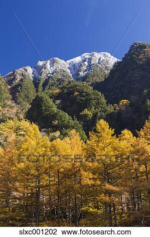 Stock Image - Nagano Prefecture, Japan. Fotosearch