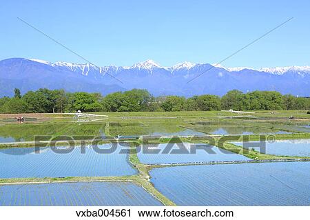 Nagano Prefecture, Japan View Large Photo Image Stock Image - Nagano Prefecture, Japan. Fotosearch