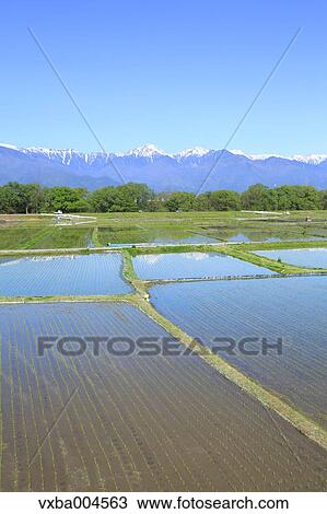 Nagano Prefecture, Japan View Large Photo Image Stock Image - Nagano Prefecture, Japan. Fotosearch