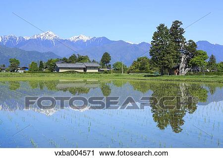Nagano Prefecture, Japan View Large Photo Image Stock Image - Nagano Prefecture, Japan. Fotosearch